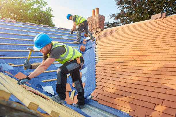Best Rubber Roofing (EPDM, TPO)  in Loudoun Lley Estates, VA